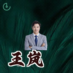 王岚